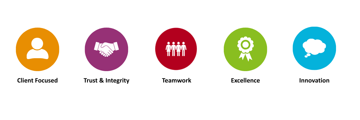 MVV Icons Our Company Values - Client Focused, Trust & Integrity, Teamwork, Excellence, and Innovation